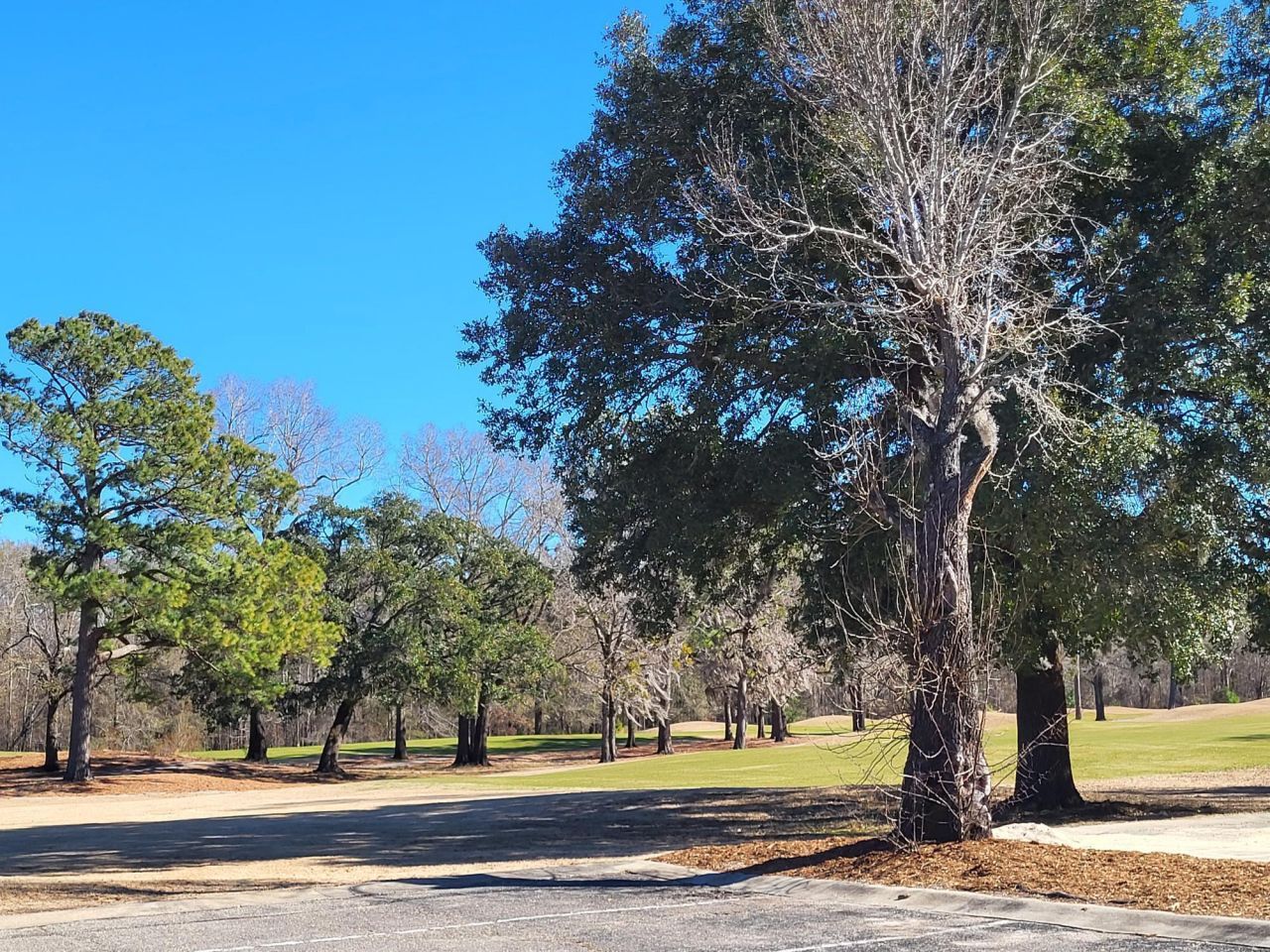 635 Bucks Trail Photo 28