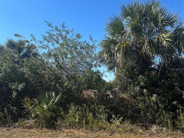 2440 BARON AVENUE SW, PALM BAY, FL 32908