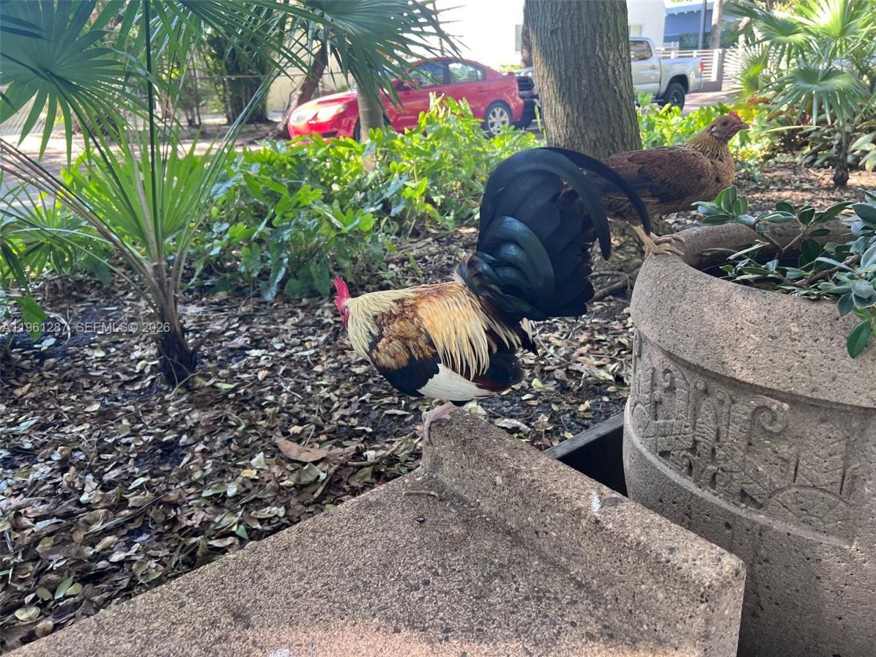 1305 SW 8th St, Miami, FL 33135 Photo