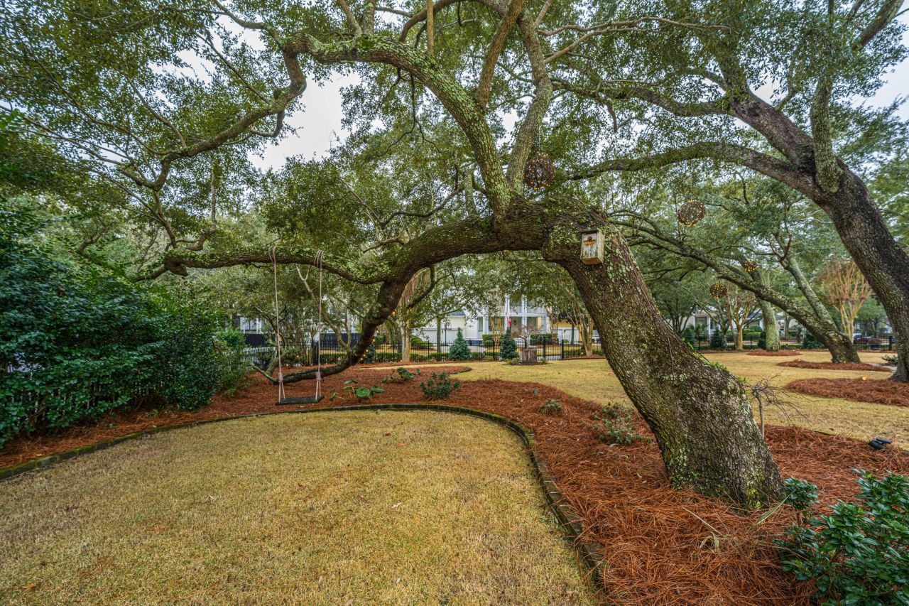 1908 Mahone Court Photo 56