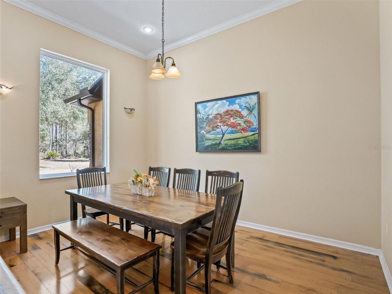 11670 SE 6 Street, Williston, FL 32696 Photo