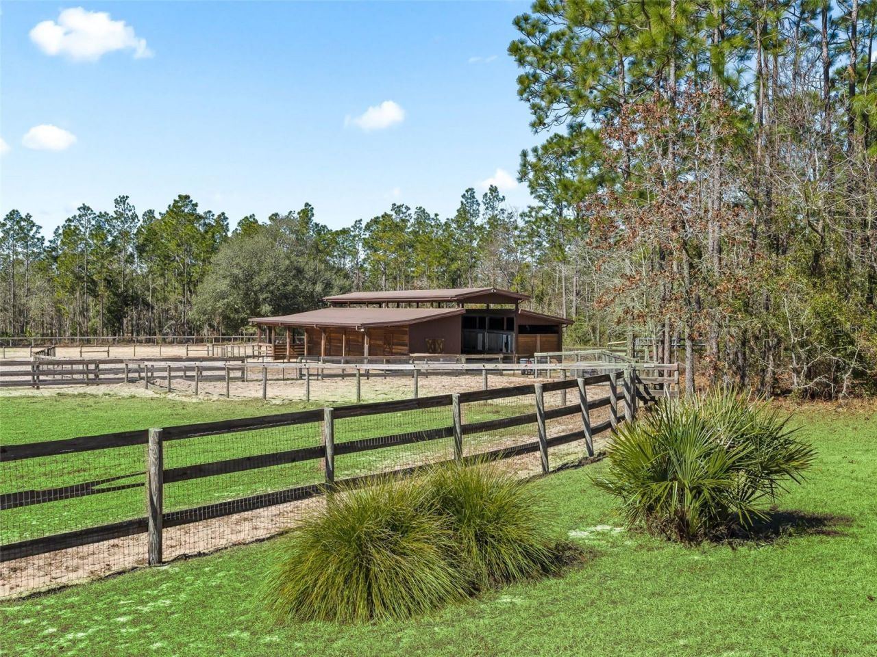 11670 SE 6 Street, Williston, FL 32696 Photo