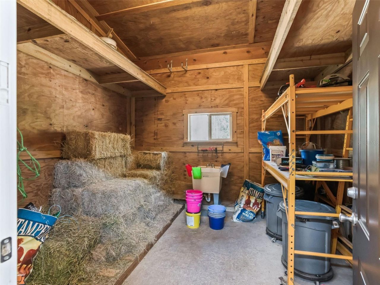 11670 SE 6 Street, Williston, FL 32696 Photo