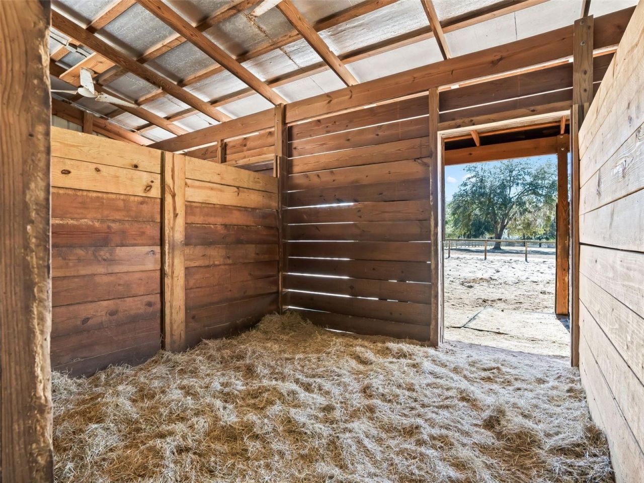 11670 SE 6 Street, Williston, FL 32696 Photo