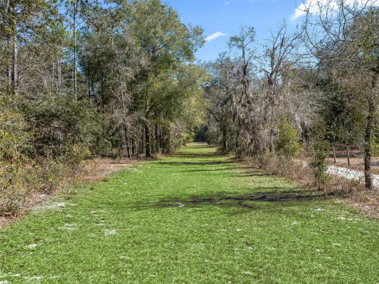 11670 SE 6 Street, Williston, FL 32696 Photo