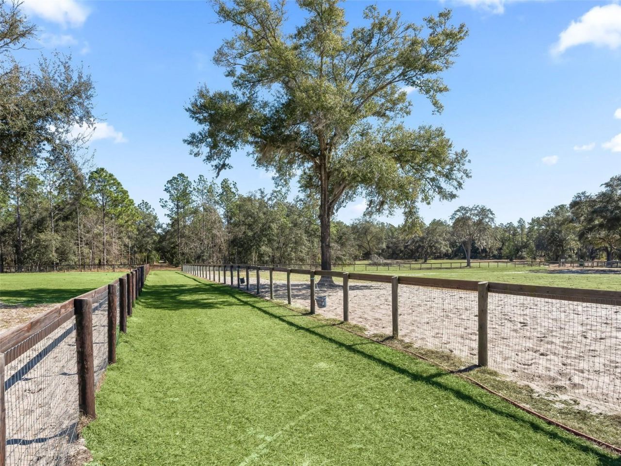 11670 SE 6 Street, Williston, FL 32696 Photo