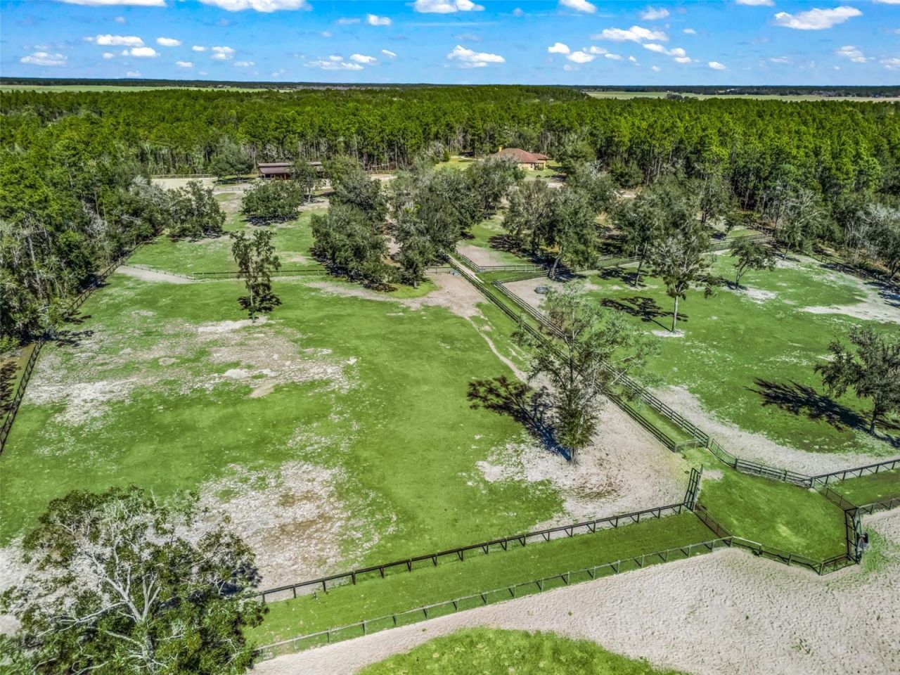 11670 SE 6 Street, Williston, FL 32696 Photo