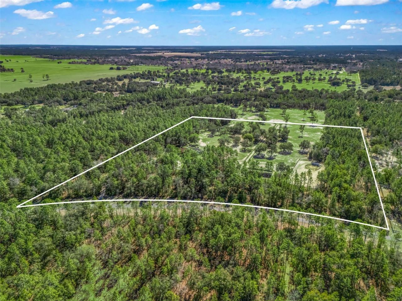 11670 SE 6 Street, Williston, FL 32696 Photo