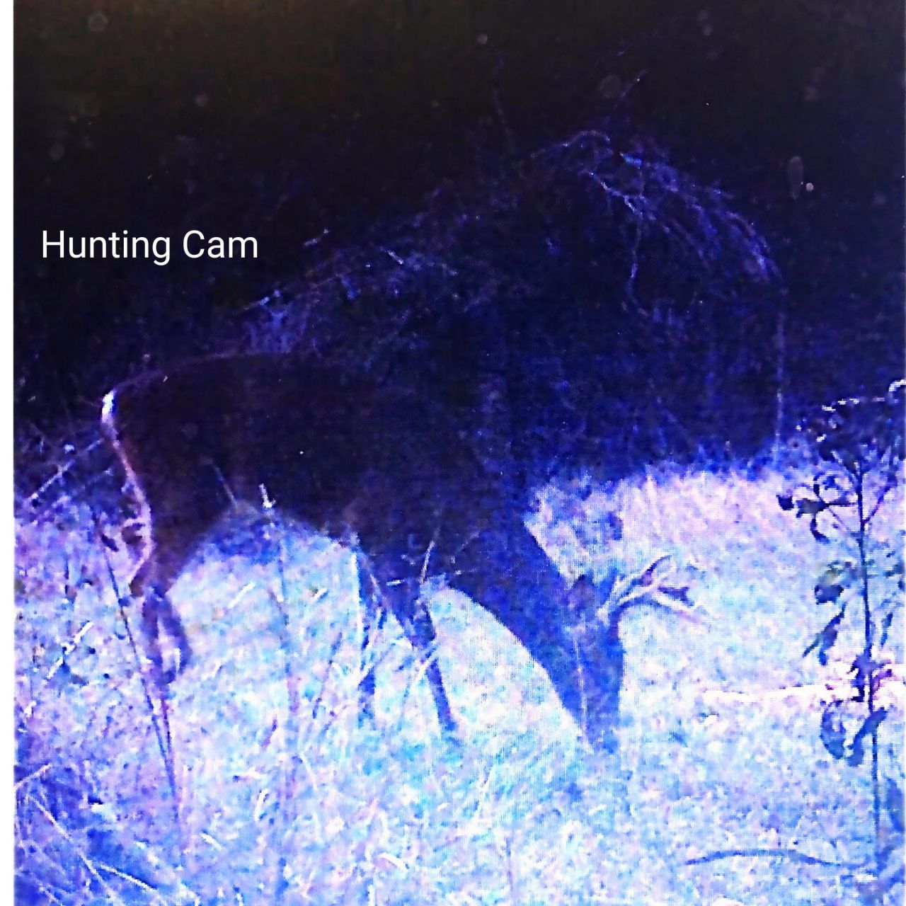 1041 Edisto River Road Road Photo 10