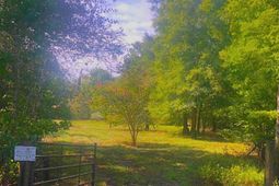 1041 Edisto River Road Road photo 4