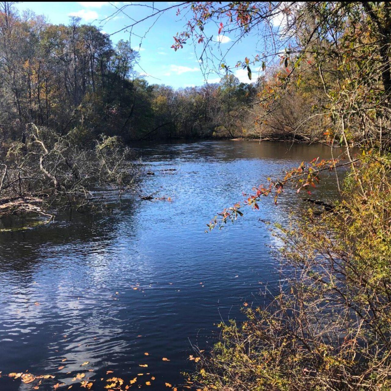 1041 Edisto River Road Road Photo 5