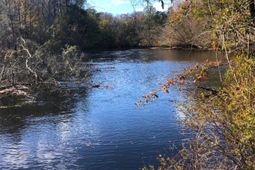 1041 Edisto River Road Road photo 4