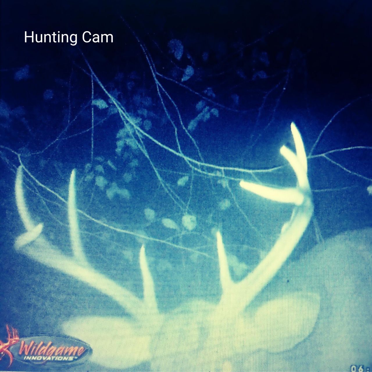 1041 Edisto River Road Road Photo 9