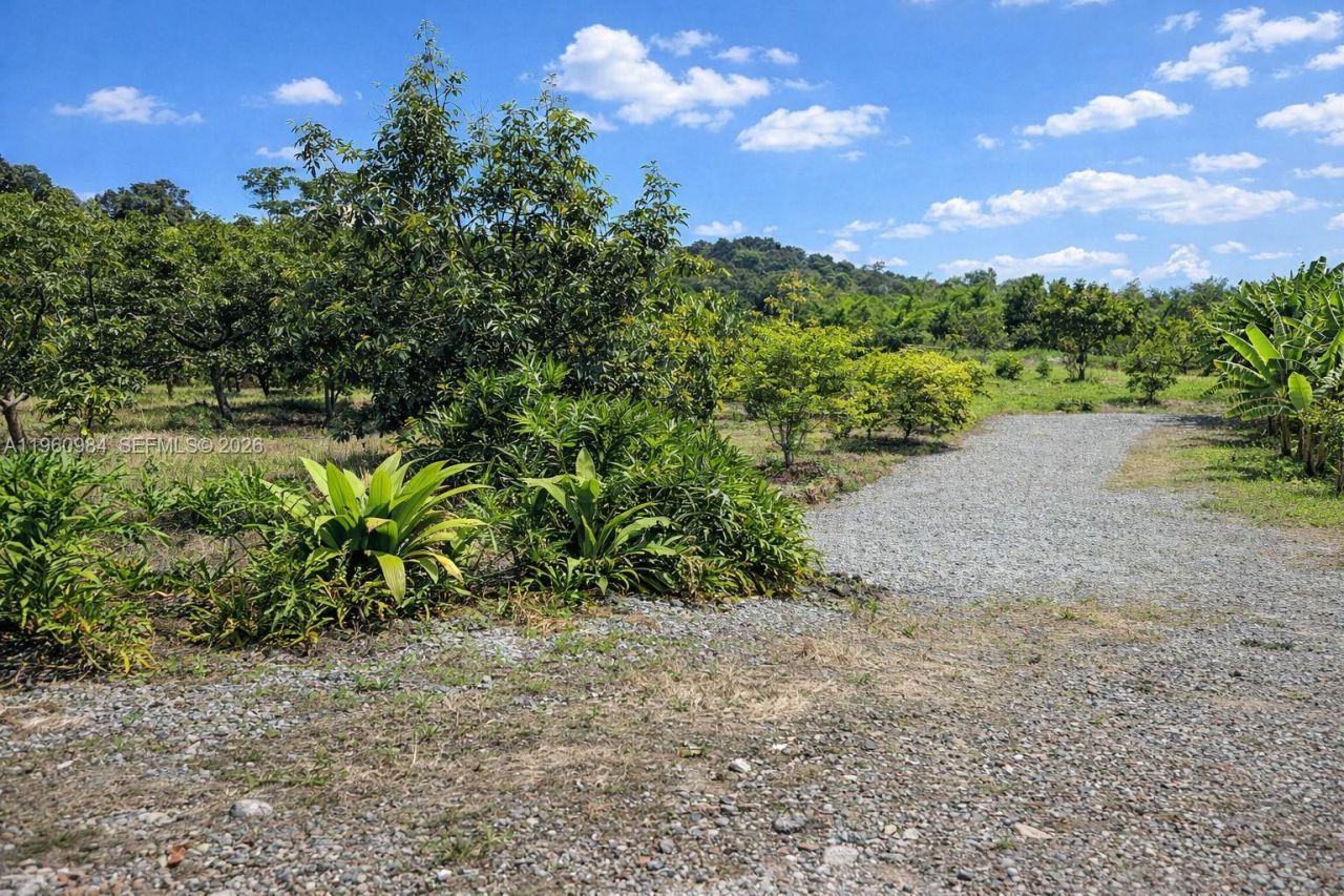 Montenegro Quindio Colombia, , co 00000 Photo