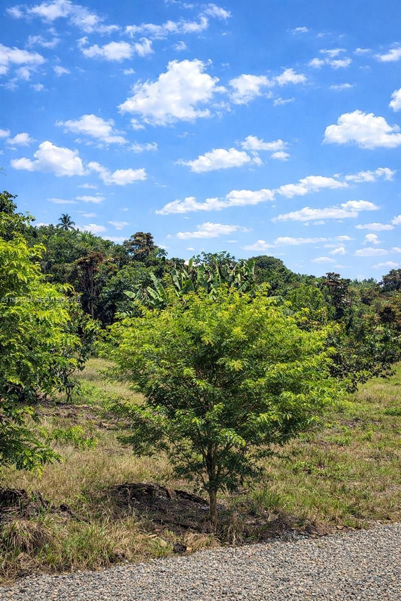 Montenegro Quindio Colombia, , co 00000 Photo