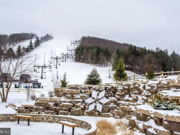 290 MARSH HILL ROAD, Unit 768F, MC HENRY, MD 21541