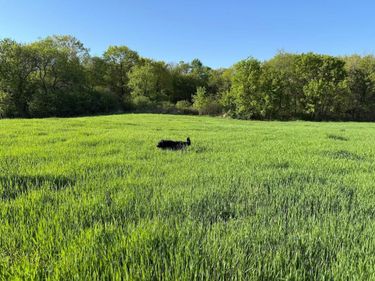 XXXXX Oxboro Ave N, Scandia, MN 55047