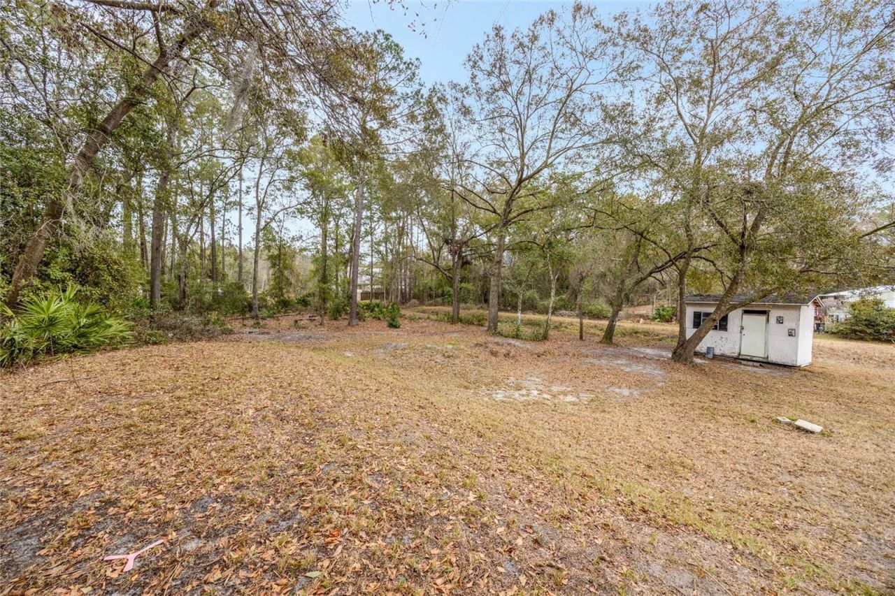 13907 NE 180th Street, Waldo, FL 32694 Photo