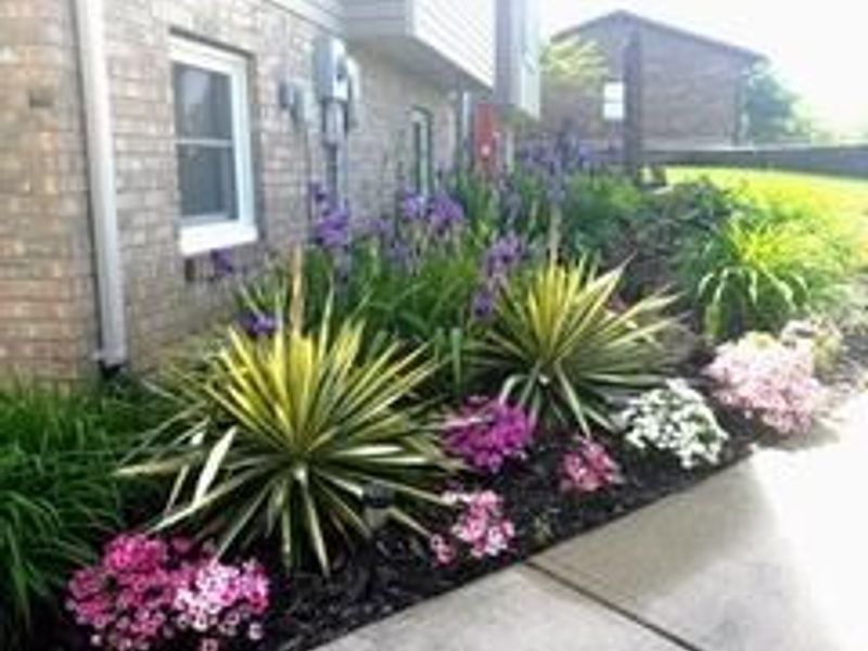 41 W Hunter Drive, Enon, OH 45323 Photo 4