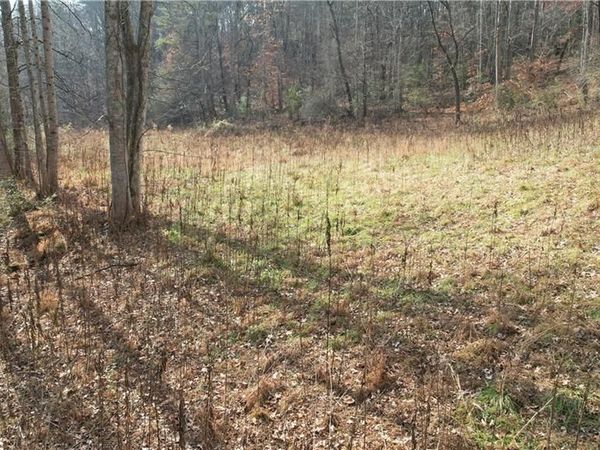 0000 Blackburn tract 3A Road , Dawsonville, GA 30534