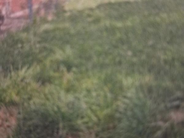 9209 S Harper Avenue, Chicago, IL 60619