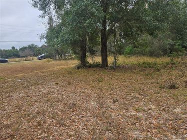 SE HIGHWAY 42, WEIRSDALE, FL 32195