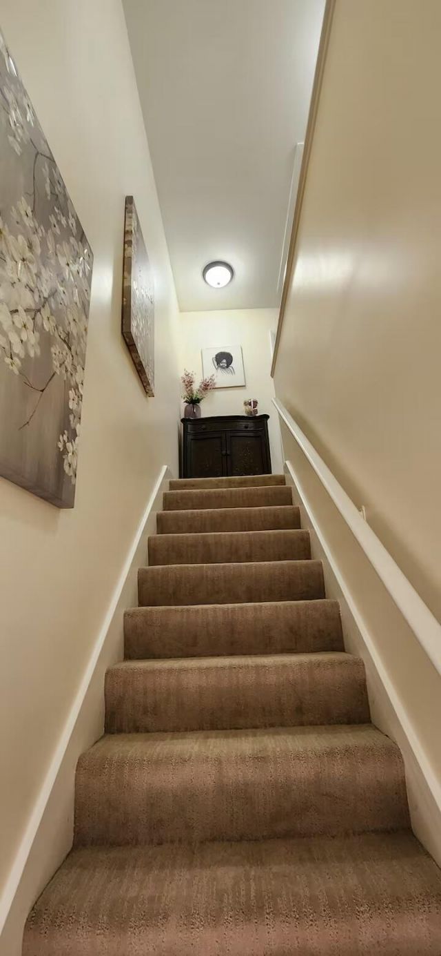 8471 Yadkin Circle Photo 17