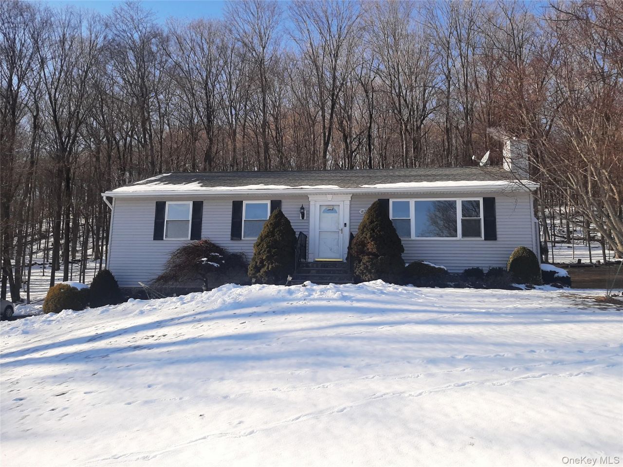180 Sylvan Lake Road, Hopewell Junction, NY 12533 Main Photo