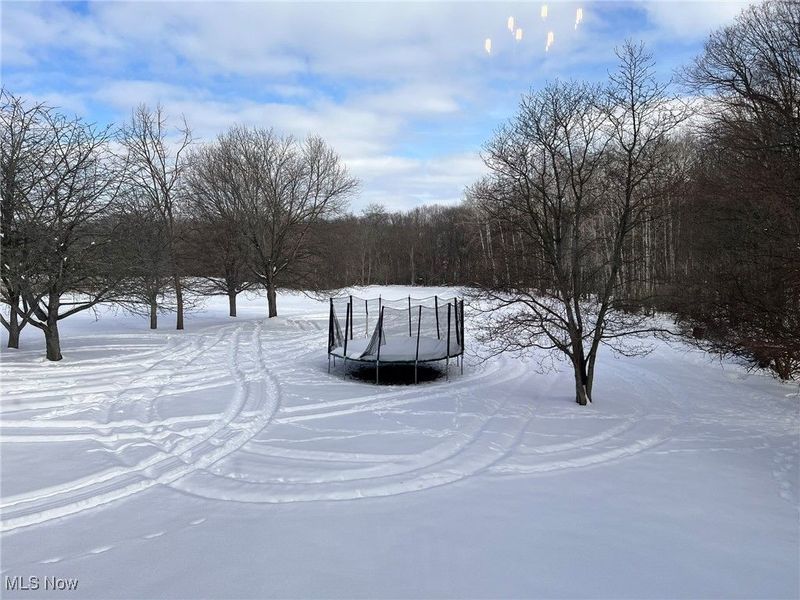 1232 Gold Crest Drive, Medina, OH 44256 Photo 44