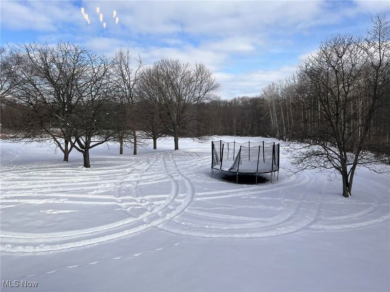 1232 Gold Crest Drive, Medina, OH 44256 Photo 45