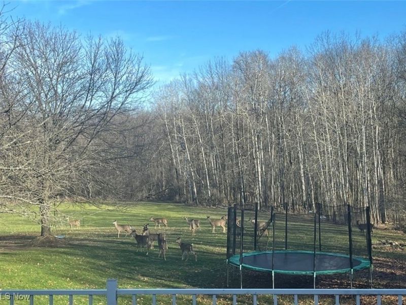 1232 Gold Crest Drive, Medina, OH 44256 Photo 47