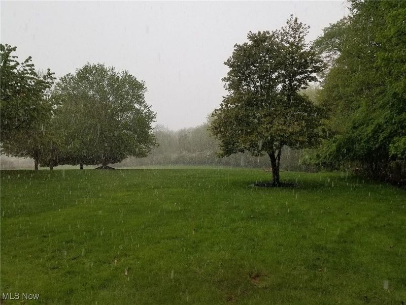 1232 Gold Crest Drive, Medina, OH 44256 Photo 48