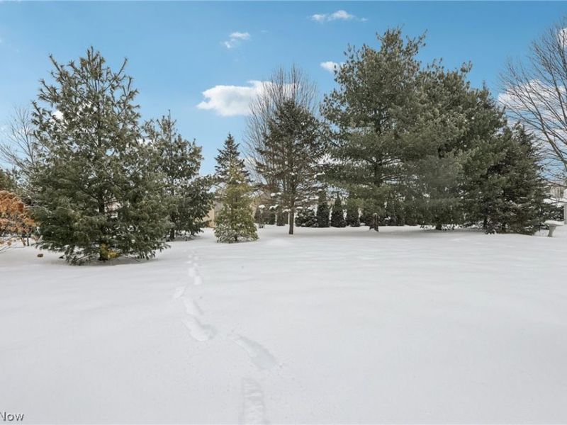 15143 Woodsong Drive, Middlefield, OH 44062 Photo 25