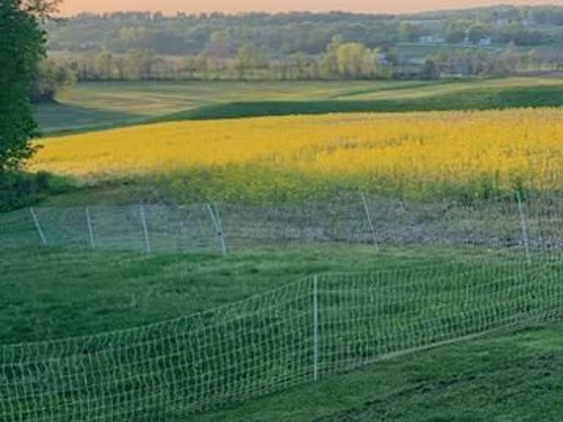 1725 W Point Road SE, Lancaster, OH 43130 Photo 68