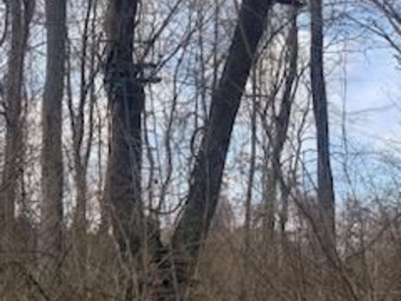 1725 W Point Road SE, Lancaster, OH 43130 Photo 75