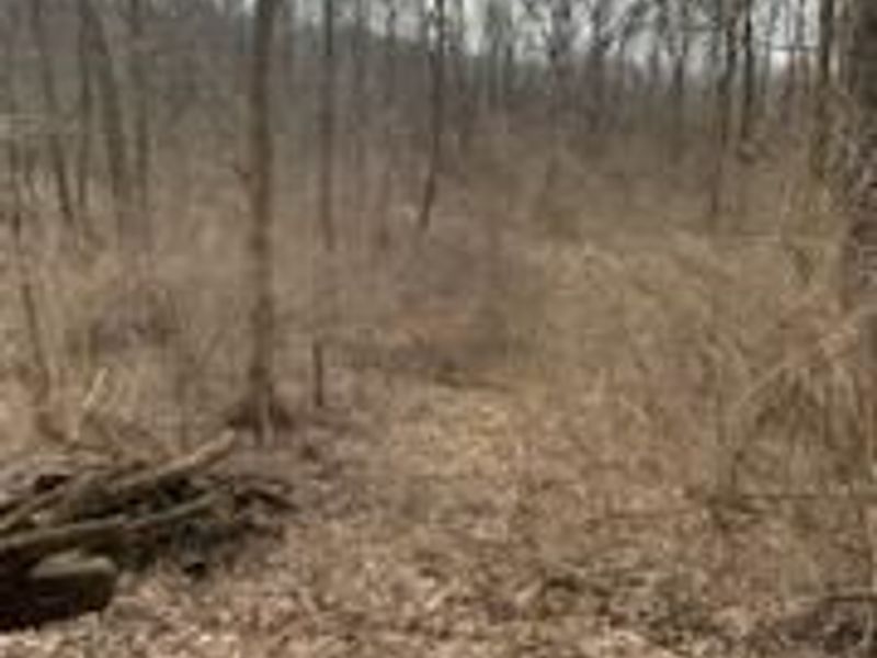 1725 W Point Road SE, Lancaster, OH 43130 Photo 77