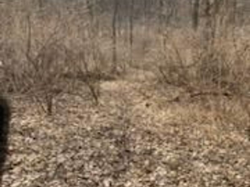 1725 W Point Road SE, Lancaster, OH 43130 Photo 80