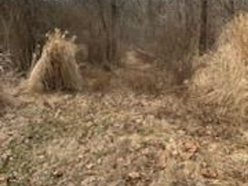 1725 W Point Road SE, Lancaster, OH 43130 Photo 82