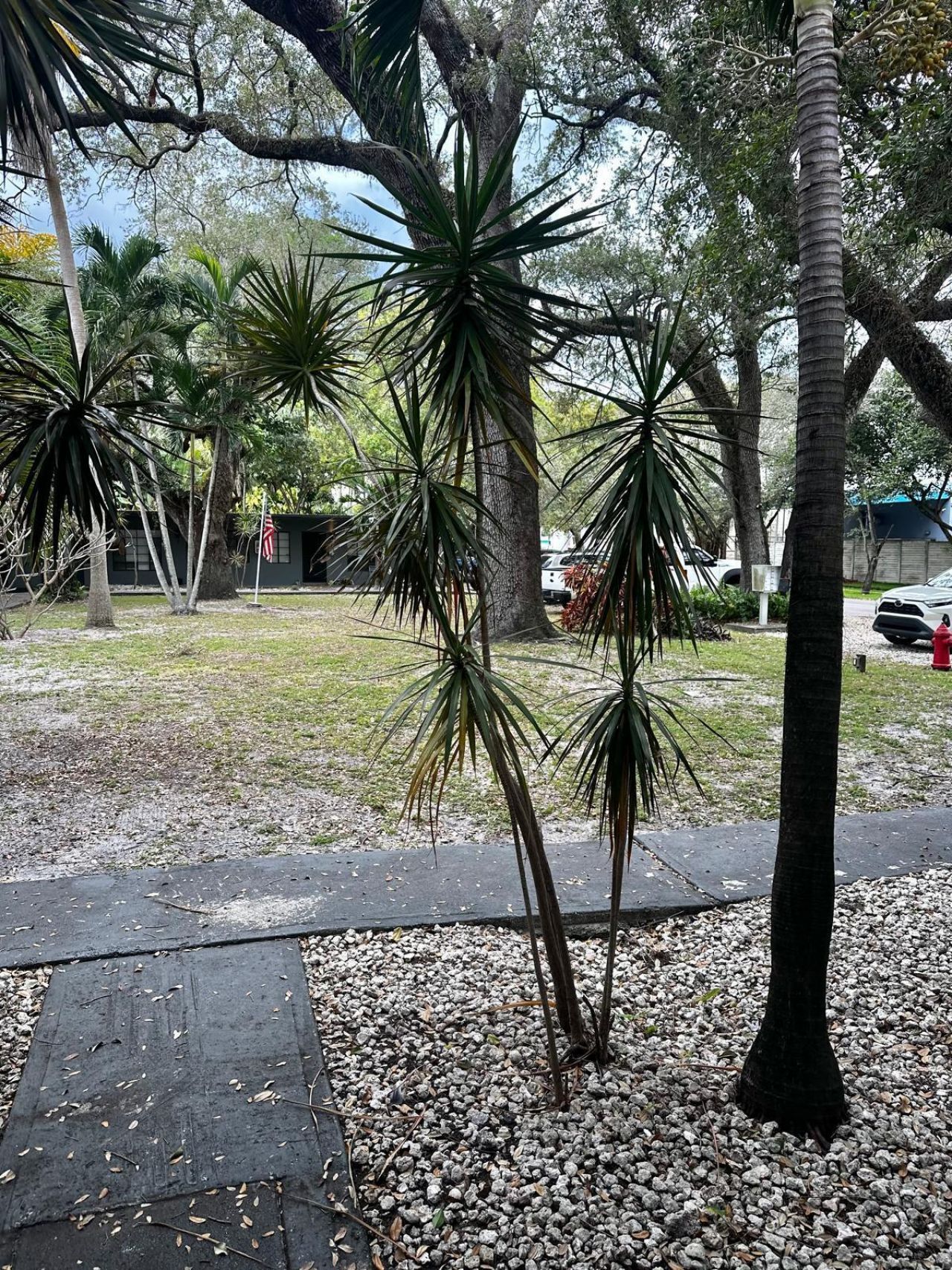 1418 SW 27th Street, Unit 2, Fort Lauderdale, FL 33315 Photo