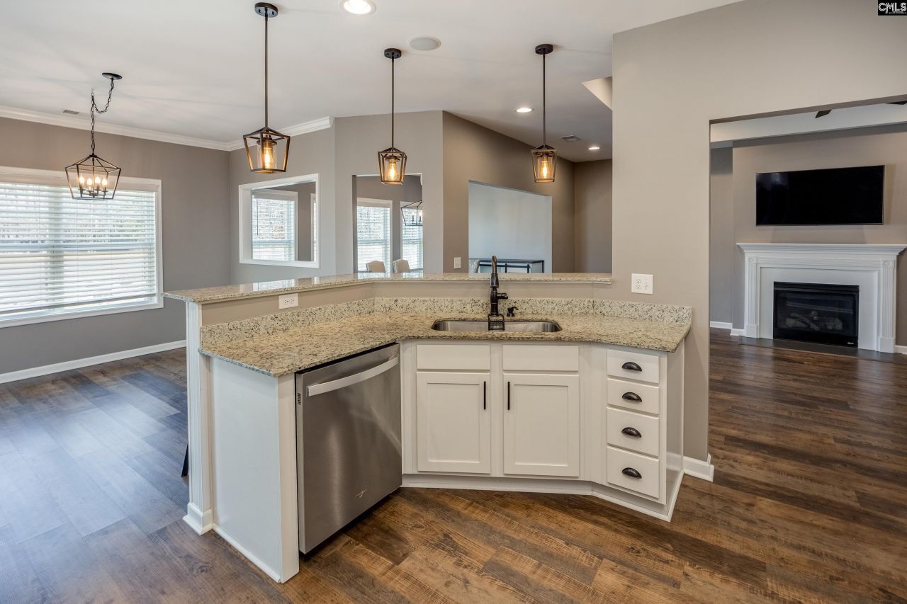 74 Rapid Run Photo 17