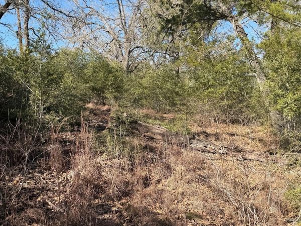 Lot 109 Wailupe CIR, Bastrop, TX 78602