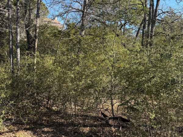 Lot 110 Wailupe CIR, Bastrop, TX 78602