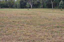 000 Tee Vee Road photo 4