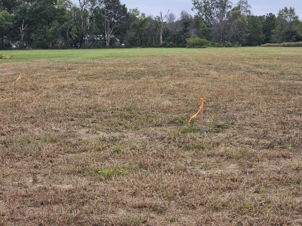 000 Tee Vee Road Photo 5