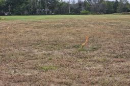 000 Tee Vee Road photo 4