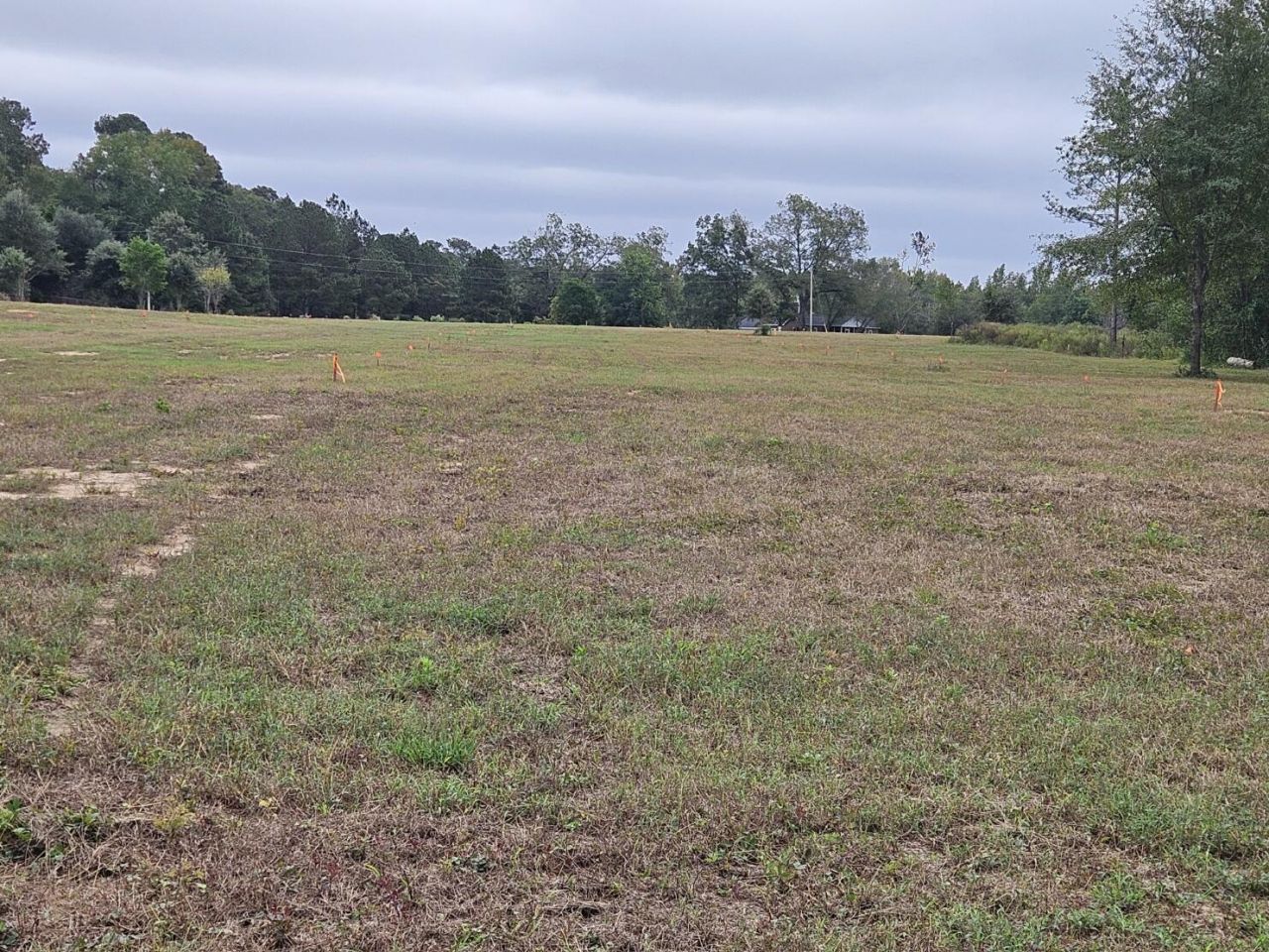 000 Tee Vee Road Photo 9