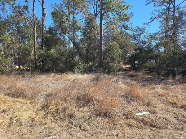 1344 CONGO COURT, KISSIMMEE, FL 34759