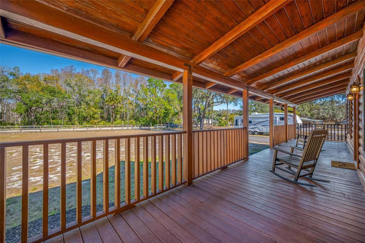 9802 Royal Palm Avenue, New Port Richey, FL 34654 Photo