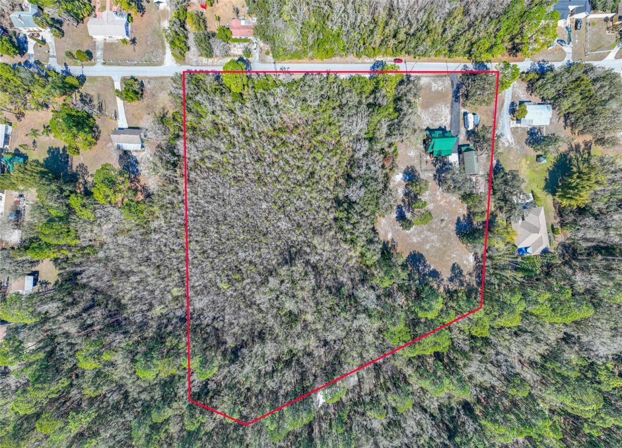 9802 Royal Palm Avenue, New Port Richey, FL 34654 Photo