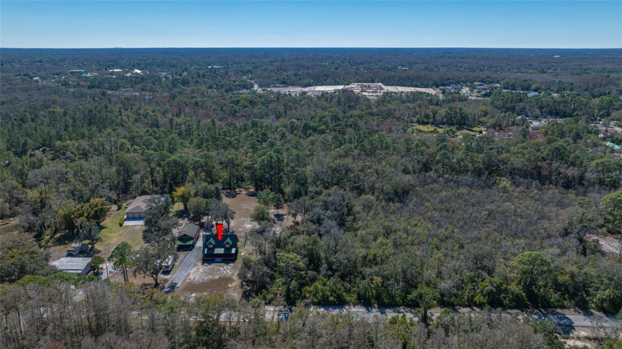 9802 Royal Palm Avenue, New Port Richey, FL 34654 Photo